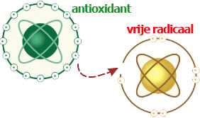antioxidant vrije radicaal